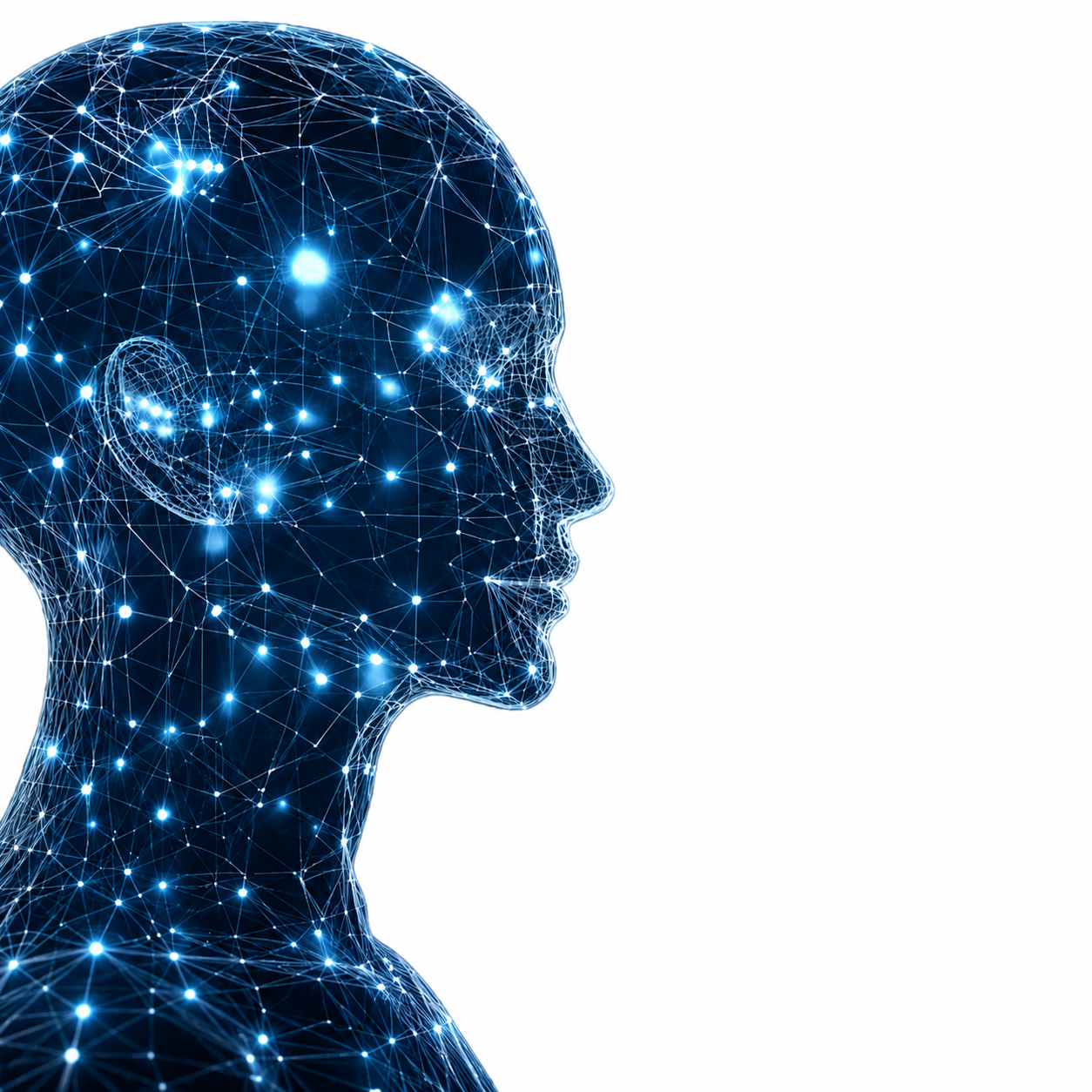 Stationary Face Recognition (ISENTRY)